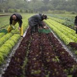 A fin juin 2023, 45% des travailleurs étrangers en Suisse étaient employés dans une activité de courte durée, soit de moins de 3 mois.